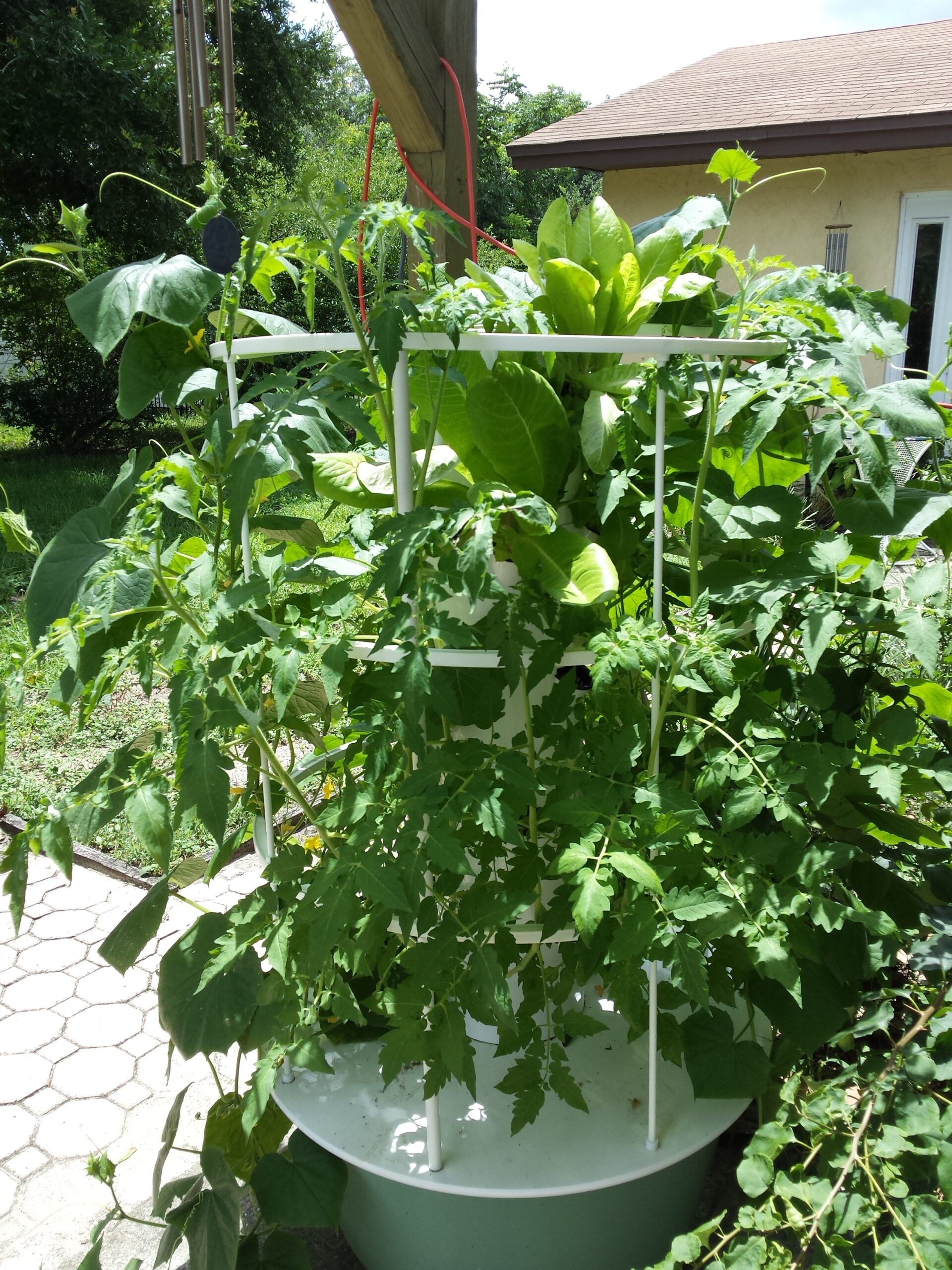 our tower garden