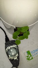 tower garden timer