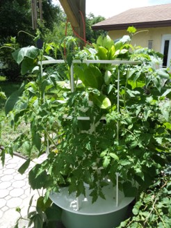 Our tower garden