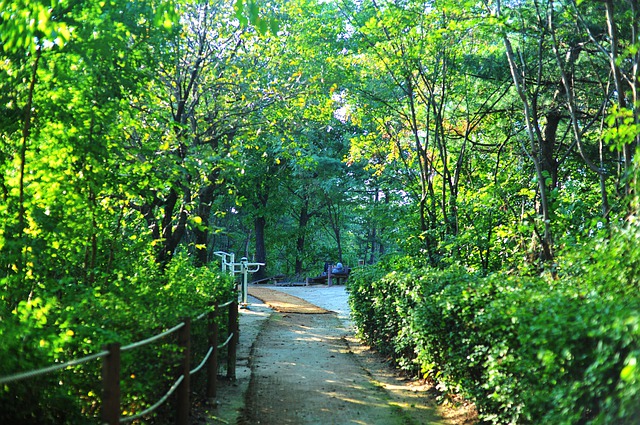 Stone path bordered by bushes and trees, with wooden posts and rope rails leading to an open area with benches and a trail descending into a wooded landscape, symbolizing a natural journey.