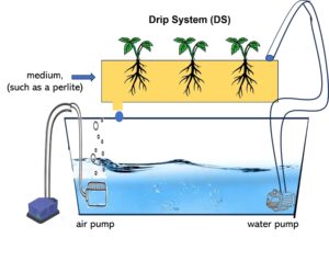 Drip System (DS)