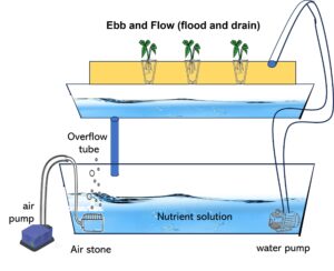 Ebb and Flow (flood and drain)