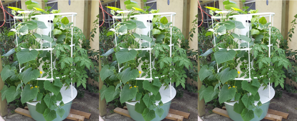 Eco-Friendly Practices: Aeroponics Sustainability and Hydroponics Environmental Impact